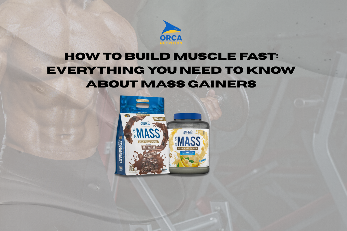 How to Build Muscle Fast: Everything You Need to Know About Mass Gaine ...